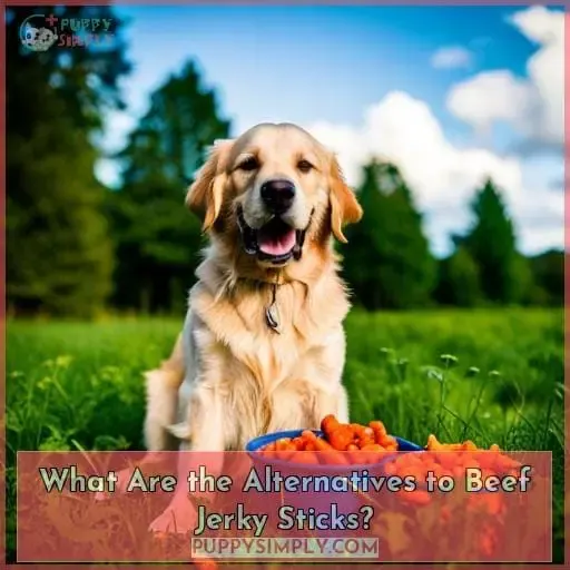 What Are the Alternatives to Beef Jerky Sticks?