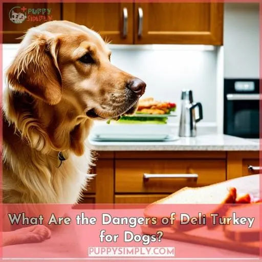 What Are the Dangers of Deli Turkey for Dogs?