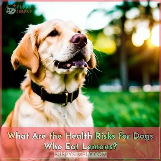 What Are the Health Risks for Dogs Who Eat Lemons?