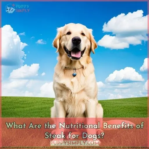 What Are the Nutritional Benefits of Steak for Dogs?