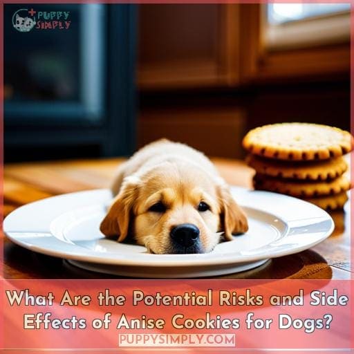 Can Dogs Eat Anise Cookies? Safety, Risks & Tips for Pet Owners