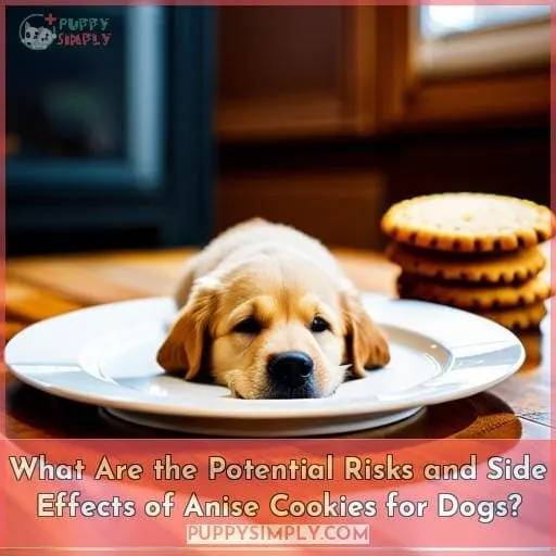 What Are the Potential Risks and Side Effects of Anise Cookies for Dogs?