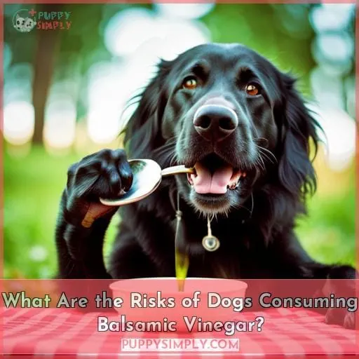 What Are the Risks of Dogs Consuming Balsamic Vinegar?