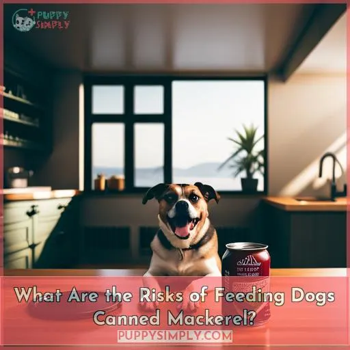 What Are the Risks of Feeding Dogs Canned Mackerel?