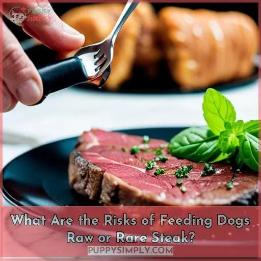 What Are the Risks of Feeding Dogs Raw or Rare Steak?