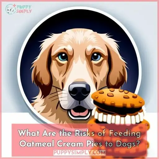 What Are the Risks of Feeding Oatmeal Cream Pies to Dogs?