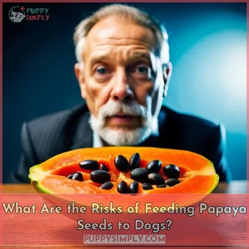 What Are the Risks of Feeding Papaya Seeds to Dogs?