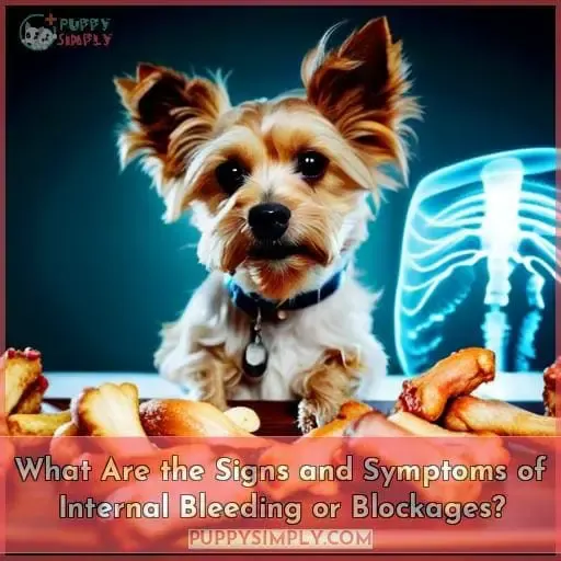 What Are the Signs and Symptoms of Internal Bleeding or Blockages?