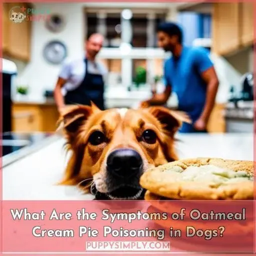 What Are the Symptoms of Oatmeal Cream Pie Poisoning in Dogs?