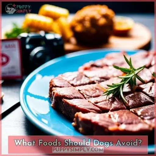 What Foods Should Dogs Avoid?