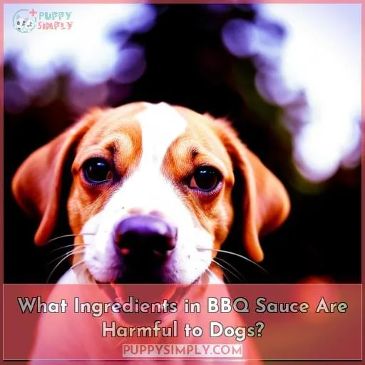 What Ingredients in BBQ Sauce Are Harmful to Dogs?