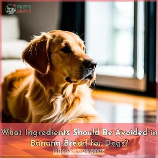 What Ingredients Should Be Avoided in Banana Bread for Dogs?