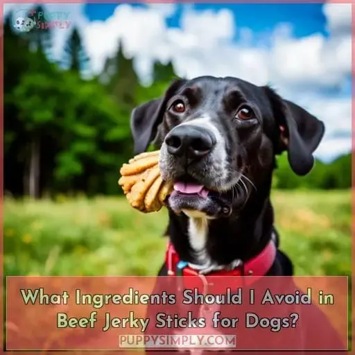 What Ingredients Should I Avoid in Beef Jerky Sticks for Dogs?