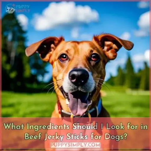 What Ingredients Should I Look for in Beef Jerky Sticks for Dogs?