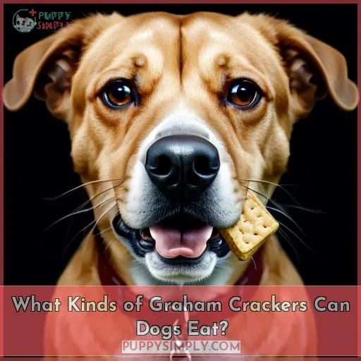 What Kinds of Graham Crackers Can Dogs Eat?