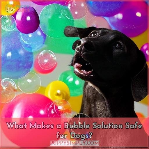 What Makes a Bubble Solution Safe for Dogs?