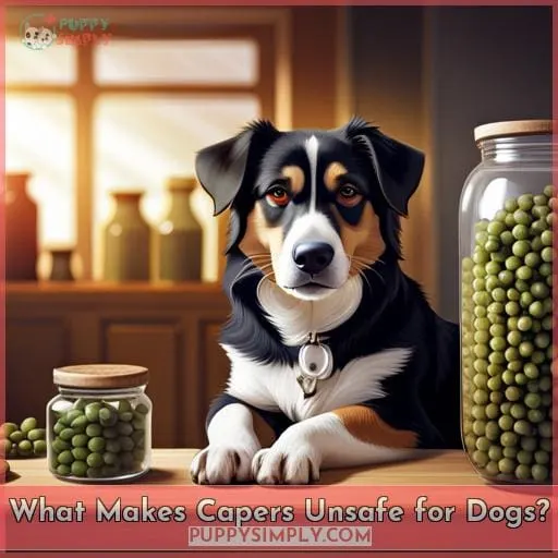 What Makes Capers Unsafe for Dogs?