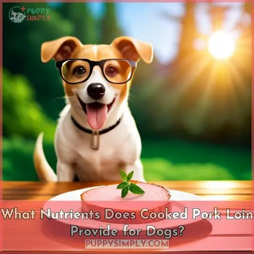 What Nutrients Does Cooked Pork Loin Provide for Dogs?