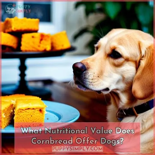 What Nutritional Value Does Cornbread Offer Dogs?