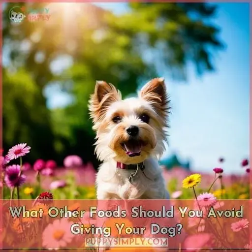 What Other Foods Should You Avoid Giving Your Dog?