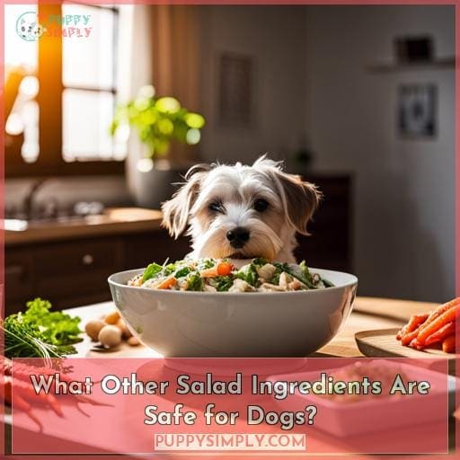 What Other Salad Ingredients Are Safe for Dogs?