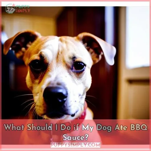 What Should I Do if My Dog Ate BBQ Sauce?