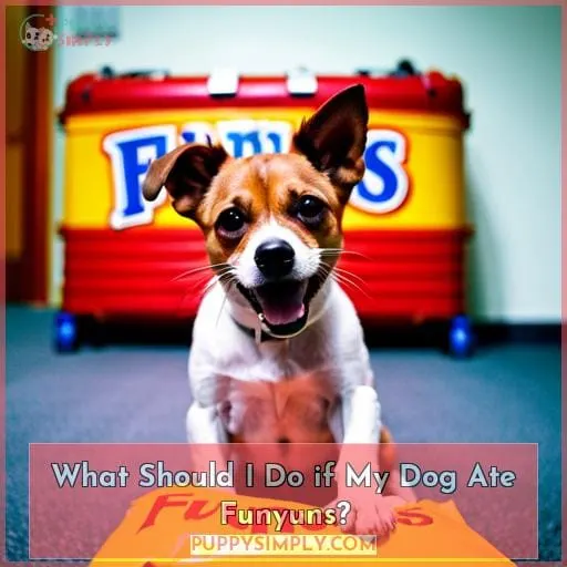What Should I Do if My Dog Ate Funyuns?