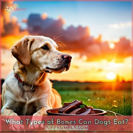 What Types of Bones Can Dogs Eat?
