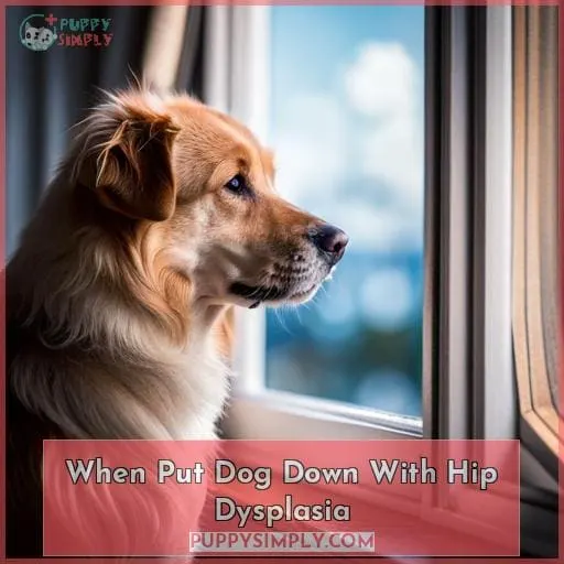 when put dog down with hip dysplasia