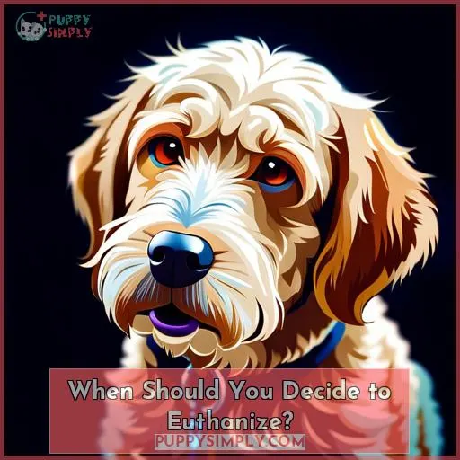 When Should You Decide to Euthanize?