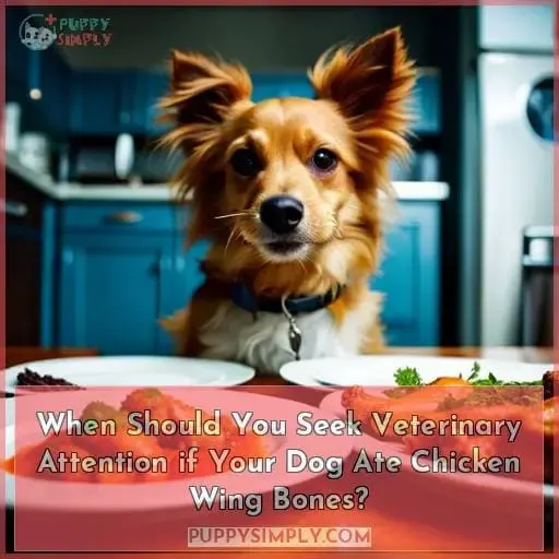 When Should You Seek Veterinary Attention if Your Dog Ate Chicken Wing Bones?