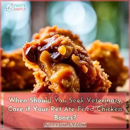 When Should You Seek Veterinary Care if Your Pet Ate Fried Chicken Bones?