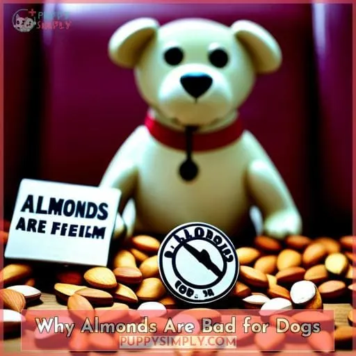 Why Almonds Are Bad for Dogs
