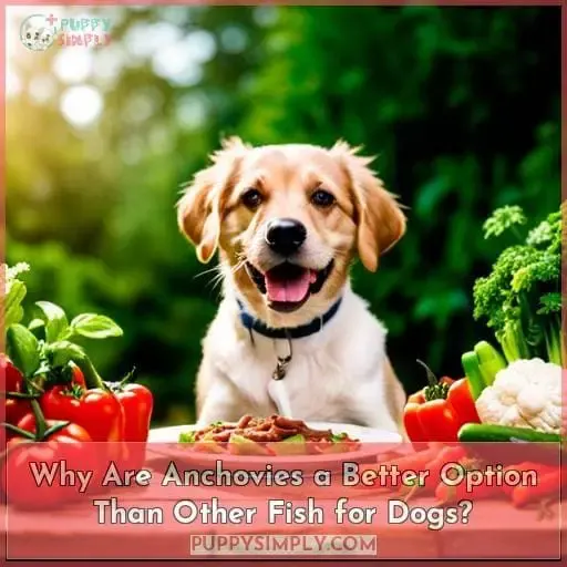 Why Are Anchovies a Better Option Than Other Fish for Dogs?