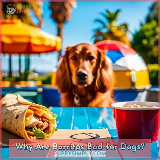 Why Are Burritos Bad for Dogs?