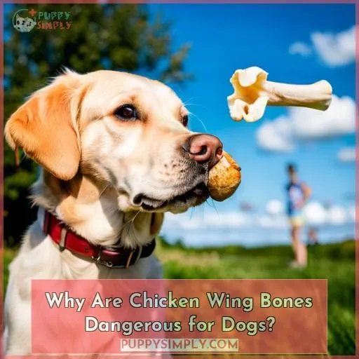 Why Are Chicken Wing Bones Dangerous for Dogs?