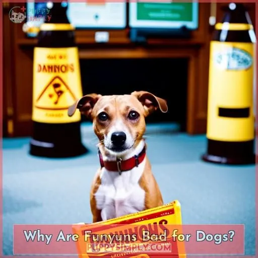 Why Are Funyuns Bad for Dogs?