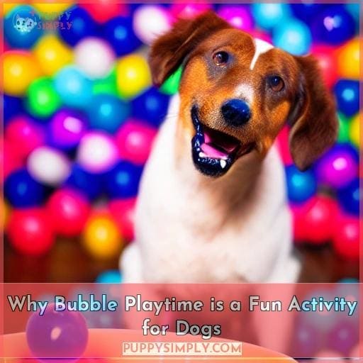 Why Bubble Playtime is a Fun Activity for Dogs