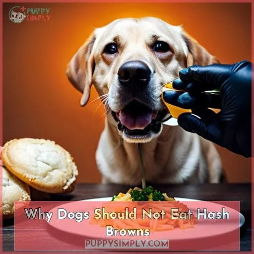 Why Dogs Should Not Eat Hash Browns