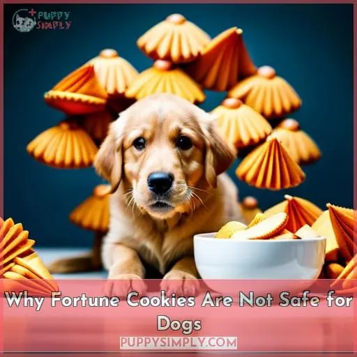 Why Fortune Cookies Are Not Safe for Dogs