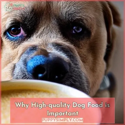 Why High-quality Dog Food is Important