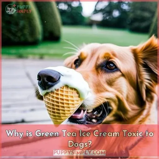 Why is Green Tea Ice Cream Toxic to Dogs?