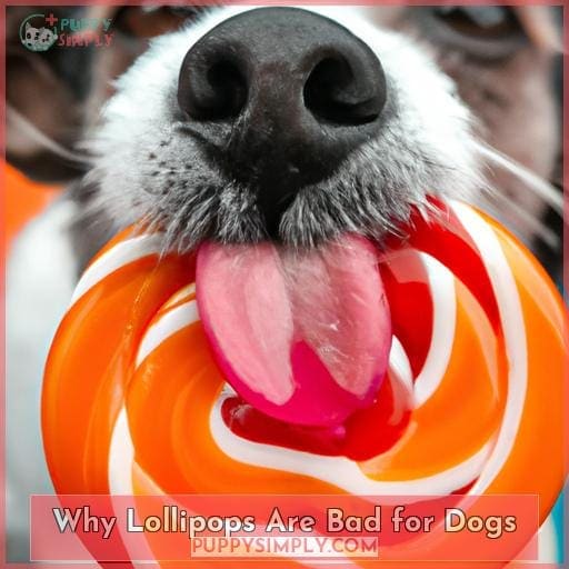 Why Lollipops Are Bad for Dogs
