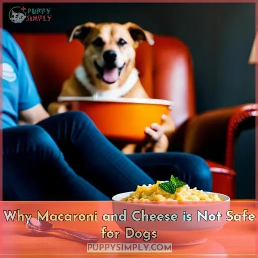 Why Macaroni and Cheese is Not Safe for Dogs