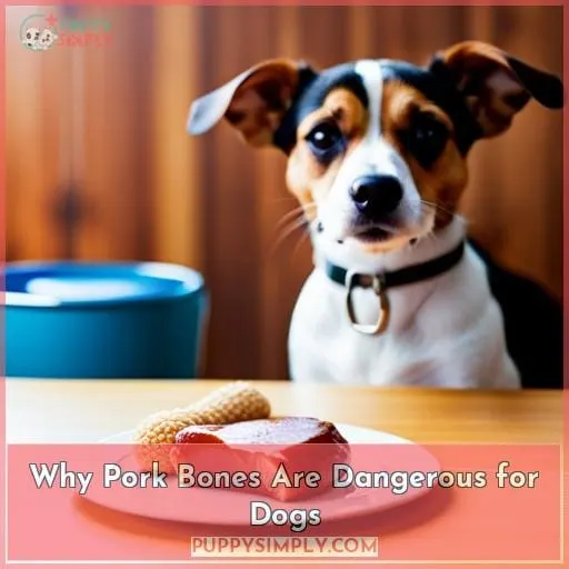 Why Pork Bones Are Dangerous for Dogs