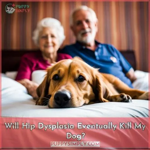 Will Hip Dysplasia Eventually Kill My Dog?