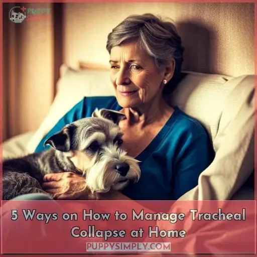 5 Ways on How to Manage Tracheal Collapse at Home
