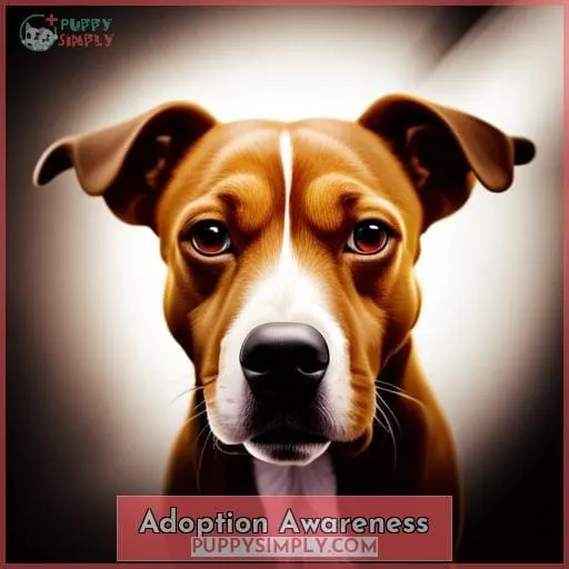 Adoption Awareness