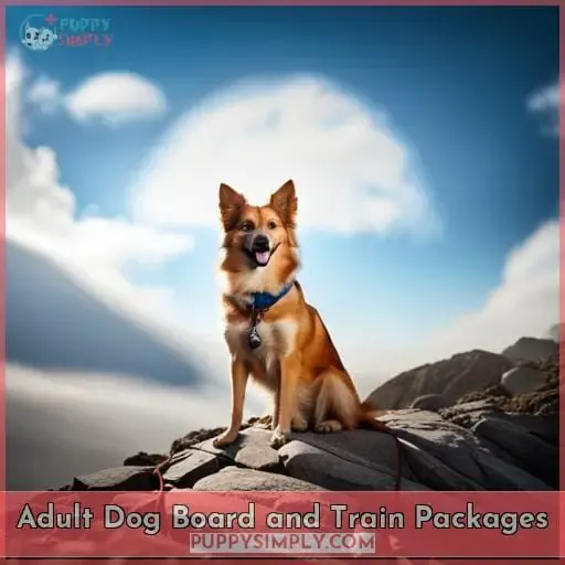 Adult Dog Board and Train Packages