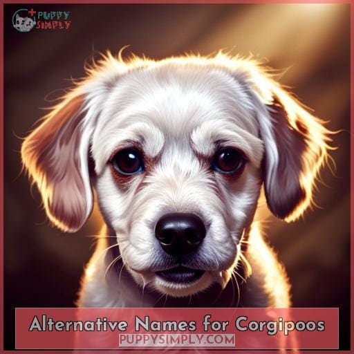 Alternative Names for Corgipoos